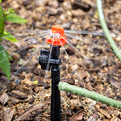 Picture of 7" BLACK MICRO BARB STAKE W/VALVE-3/3 Pack